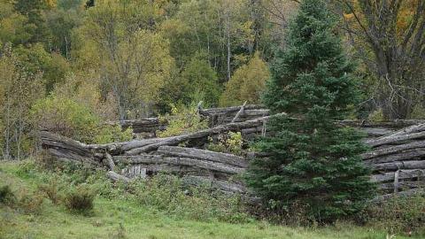 Newfoundout Oct 2015 - Newfoundout-(ghost-town)36.jpg