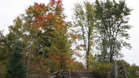 Newfoundout Oct 2015 - Newfoundout-(ghost-town)37.jpg