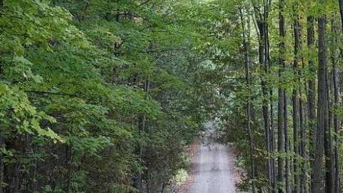 Newfoundout Oct 2015 - Newfoundout-(ghost-town)40.jpg