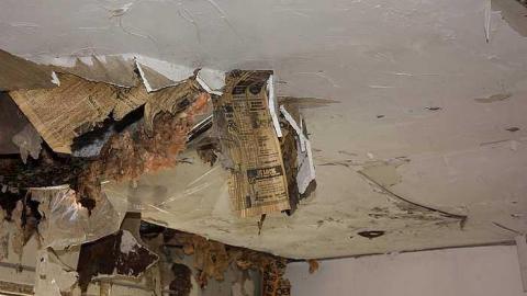 Nov 2015 - Abandoned-Cabin-in-the-Trees11.jpg