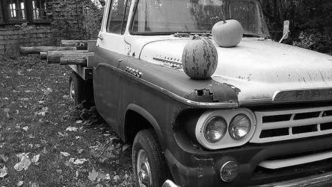 Forget family Workshop photo 4