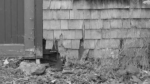 Forget family Workshop photo 5