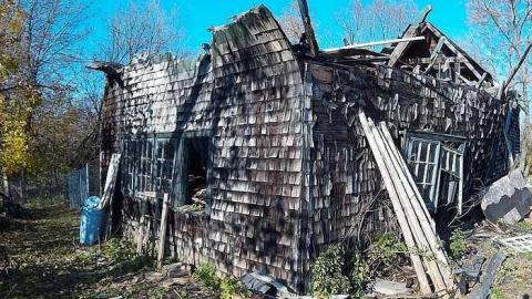 Photo from Gallery 2 2015