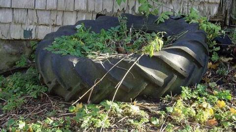 Photo from Gallery 2 2015