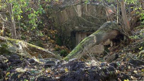 Gallery 2 2015 - Forget-family-Workshop8.jpg