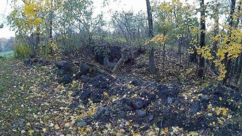 Photo from Gallery 2 2015