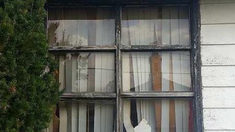 November Scout - Solitary-Survivor13.jpg