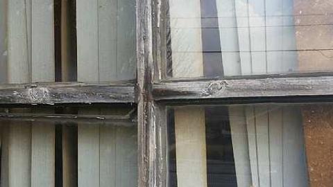 November Scout - Solitary-Survivor6.jpg