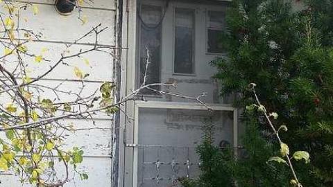 November Scout - Solitary-Survivor14.jpg