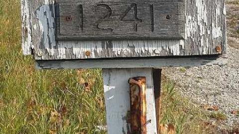 November Scout - Solitary-Survivor7.jpg