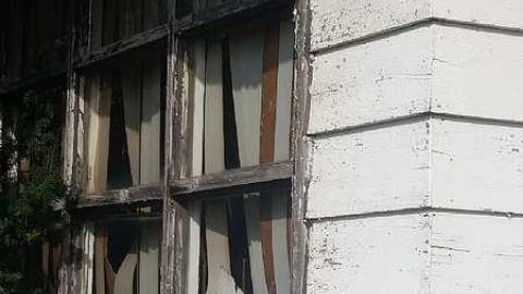 November Scout - Solitary-Survivor8.jpg