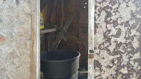 November Scout - Solitary-Survivor16.jpg