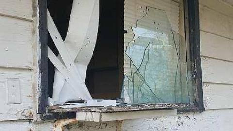 November Scout - Solitary-Survivor17.jpg