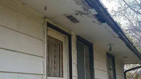 November Scout - Solitary-Survivor10.jpg