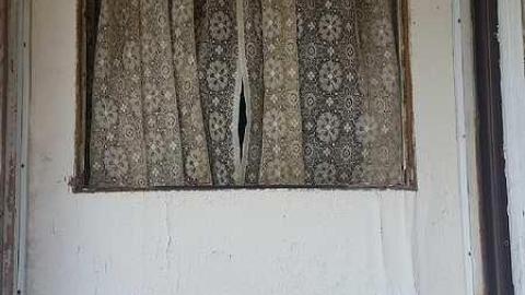 November Scout - Solitary-Survivor18.jpg