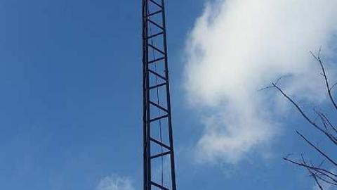 Solitary Survivor photo 3