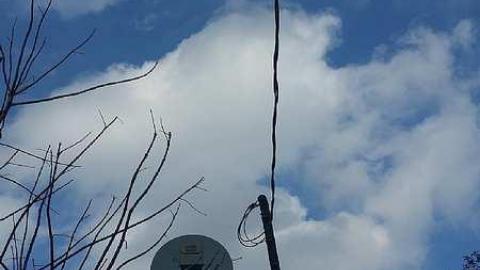 Solitary Survivor photo 5