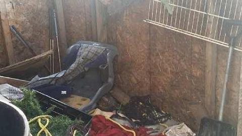 Solitary Survivor photo 4