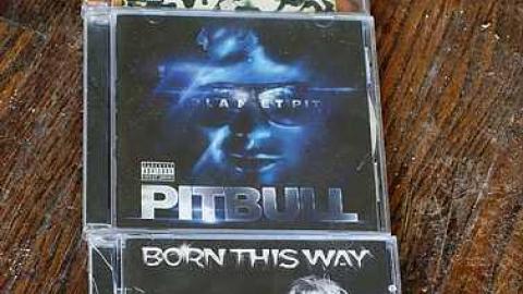 Throwing Punches '15 - Florida-Jack-and-the-Bunch4.jpg