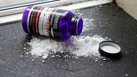 Throwing Punches '15 - Florida-Jack-and-the-Bunch5.jpg