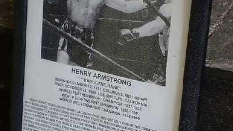 Throwing Punches '15 - Florida-Jack-and-the-Bunch7.jpg