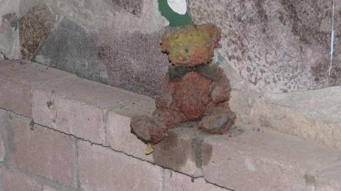 Lonesome in the corn - Welsh-House48.jpg