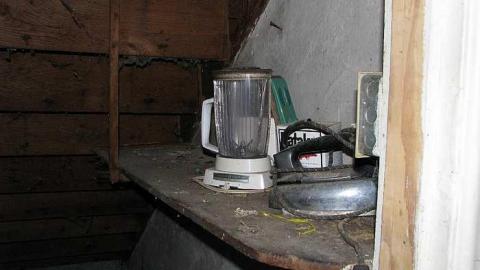 Lonesome in the corn - Welsh-House55.jpg