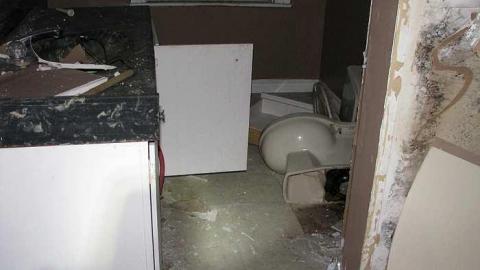 Lonesome in the corn - Welsh-House58.jpg