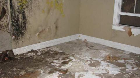 Lonesome in the corn - Welsh-House59.jpg