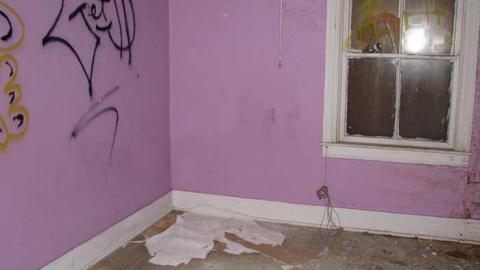 Lonesome in the corn - Welsh-House60.jpg