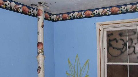 Lonesome in the corn - Welsh-House61.jpg