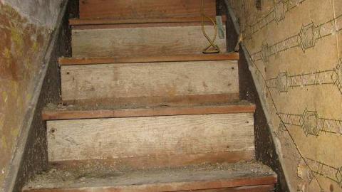 Lonesome in the corn - Welsh-House62.jpg