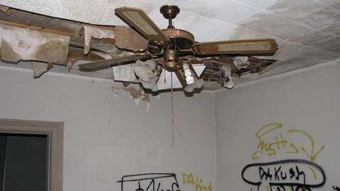 Lonesome in the corn - Welsh-House64.jpg