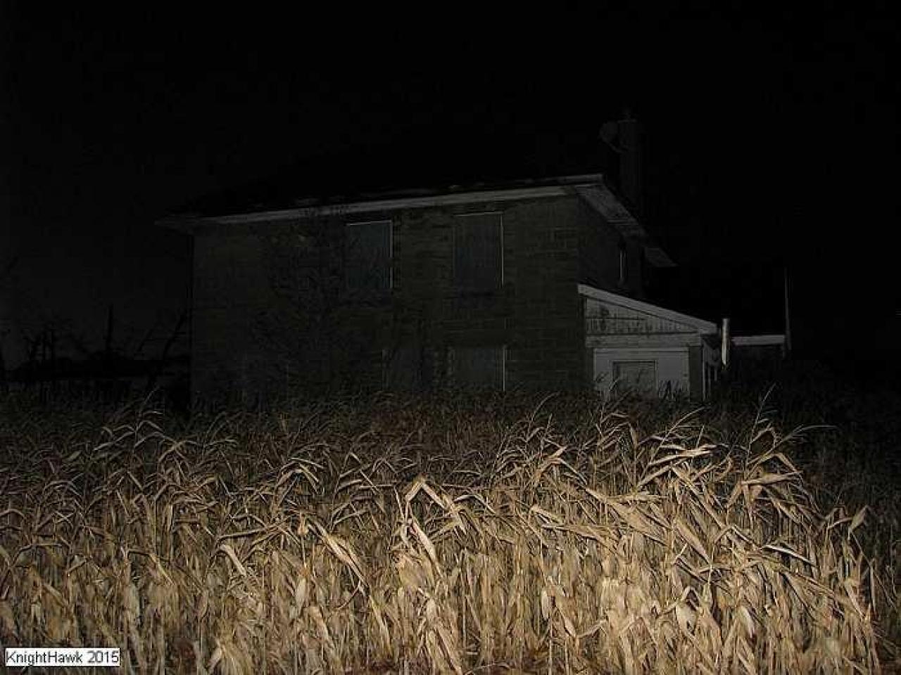 Lonesome in the corn - Welsh-House65.jpg