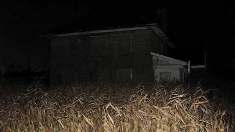 Lonesome in the corn - Welsh-House65.jpg