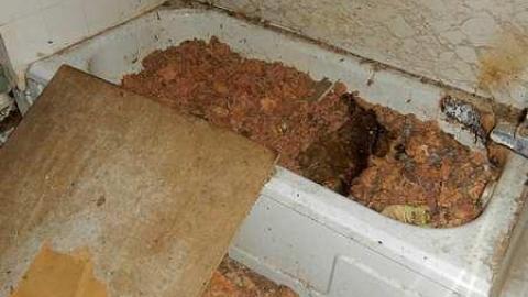 November 2015 - o-house9.jpg