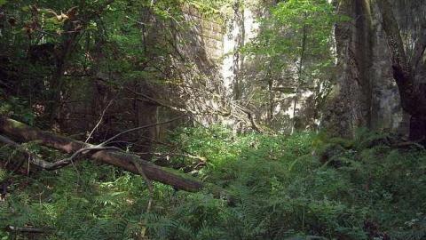 Powerscourt Power House - Powerscourt-Power-House6.jpg