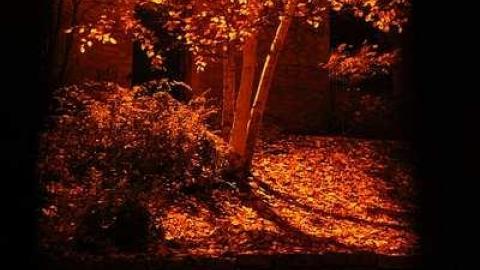 Goldie mill at night - Goldie-Mill51.jpg