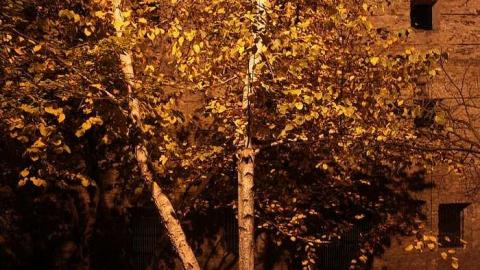 Goldie mill at night - Goldie-Mill46.jpg