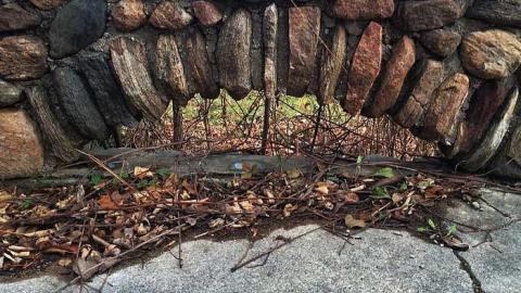 Absolutely Beautiful! - m-IMG_6012.jpg