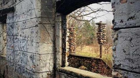 Absolutely Beautiful! - t-IMG_6030.jpg