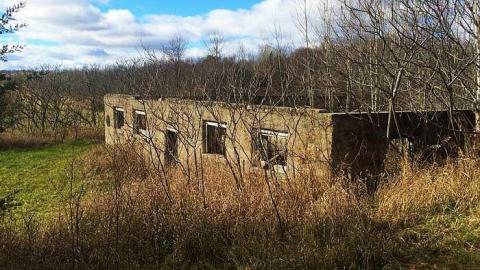 Absolutely Beautiful! - u-IMG_6036.jpg