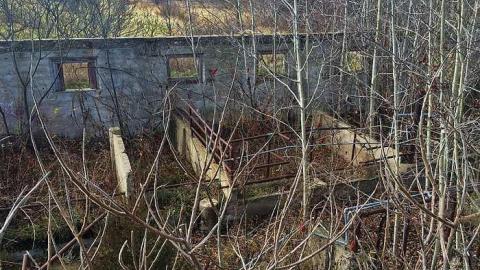 Photo from Absolutely Beautiful!