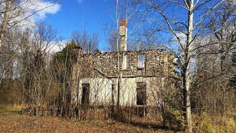 Photo from Absolutely Beautiful!