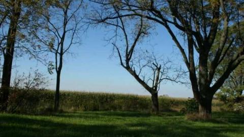 Photo from Nov9 2015