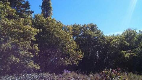 hidden carnage - e-my pictures 001.jpg