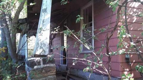 hidden carnage - x-my pictures 005.jpg