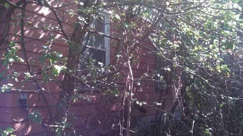 hidden carnage - b-my pictures 006.jpg