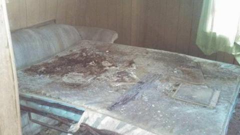 Photo from hidden carnage