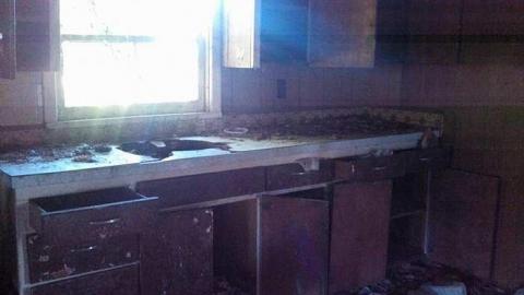 hidden carnage - x-my pictures 016.jpg